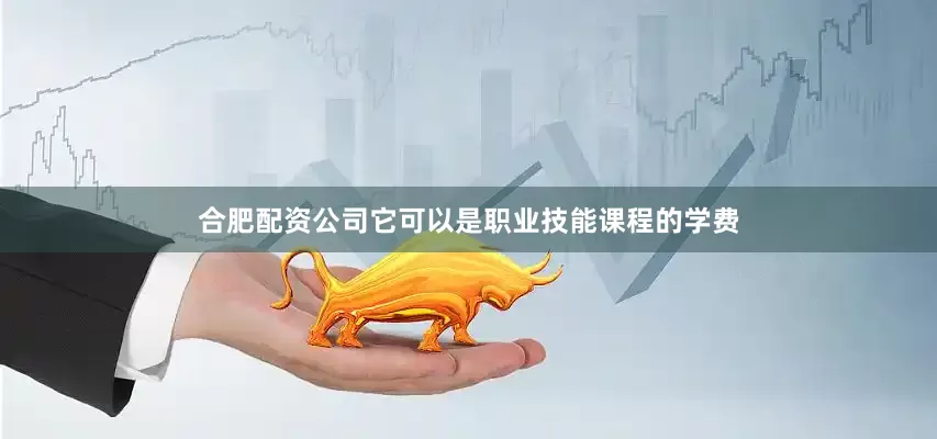 合肥配资公司它可以是职业技能课程的学费