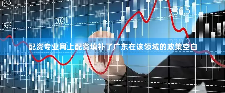 配资专业网上配资填补了广东在该领域的政策空白