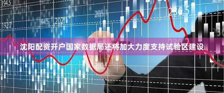 沈阳配资开户国家数据局还将加大力度支持试验区建设