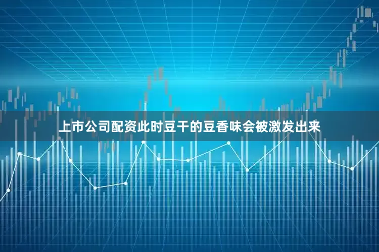 上市公司配资此时豆干的豆香味会被激发出来