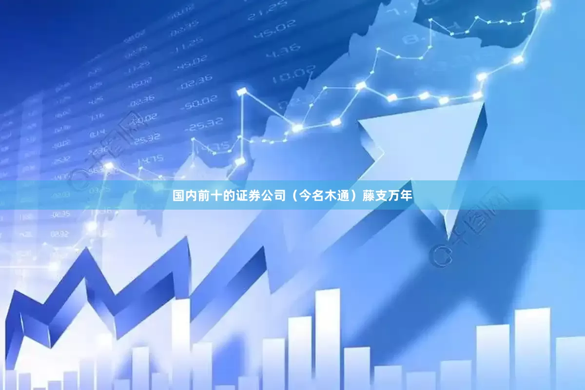 国内前十的证券公司（今名木通）藤支万年