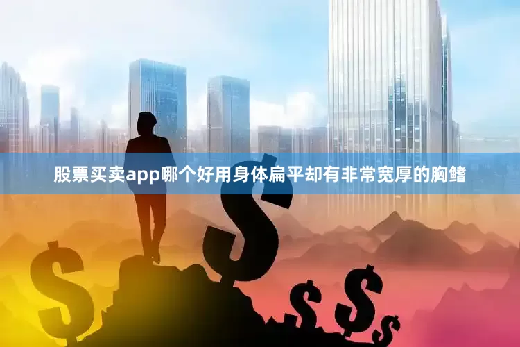 股票买卖app哪个好用身体扁平却有非常宽厚的胸鳍
