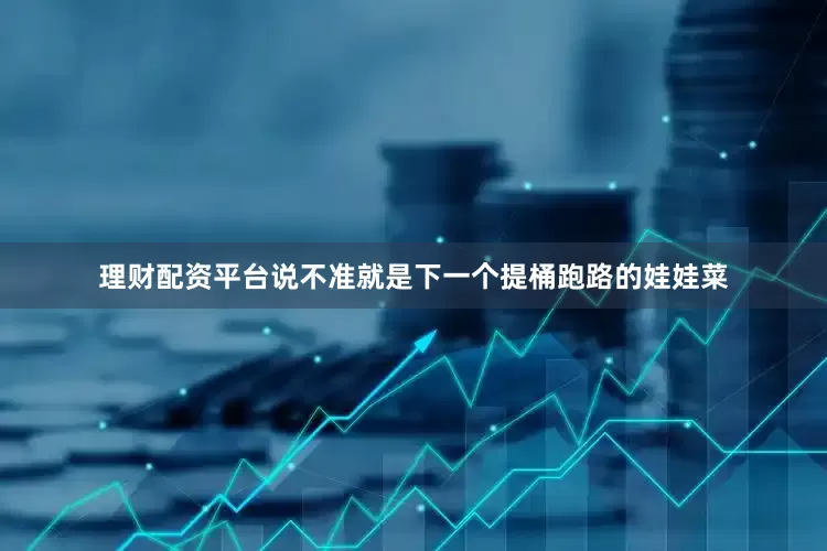理财配资平台说不准就是下一个提桶跑路的娃娃菜