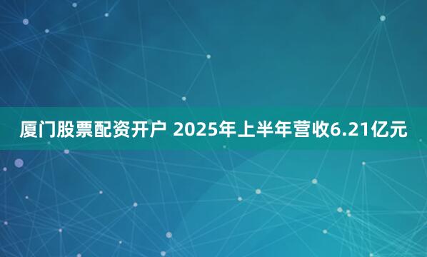 厦门股票配资开户 2025年上半年营收6.21亿元