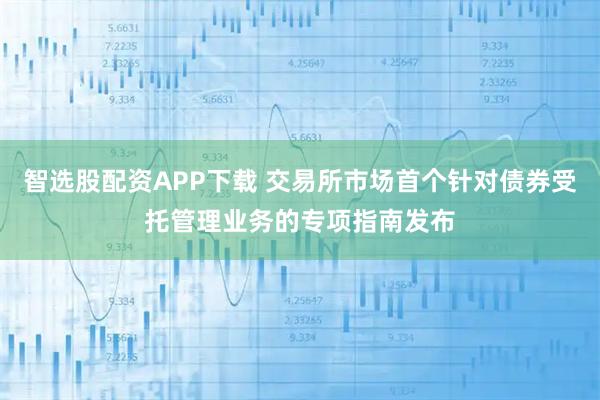 智选股配资APP下载 交易所市场首个针对债券受托管理业务的专项指南发布