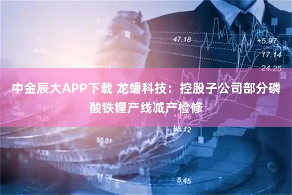 中金辰大APP下载 龙蟠科技：控股子公司部分磷酸铁锂产线减产检修